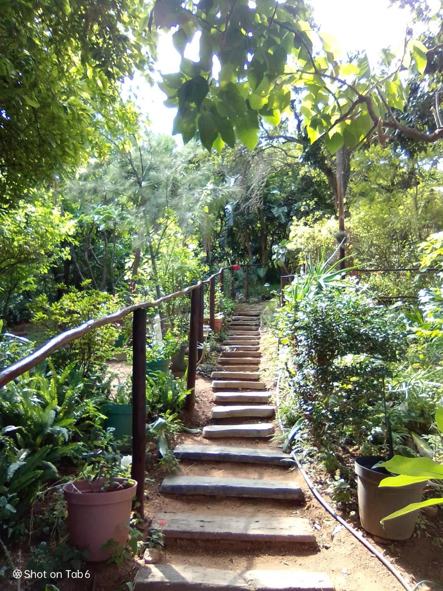הוילה ברברטון Pumba'S Lookout מראה חיצוני תמונה